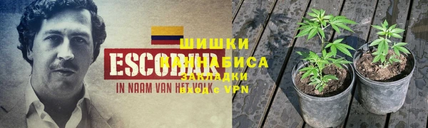 jwh Алзамай