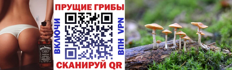 Галлюциногенные грибы ЛСД  Новоалтайск 
